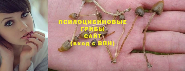 дживик Домодедово