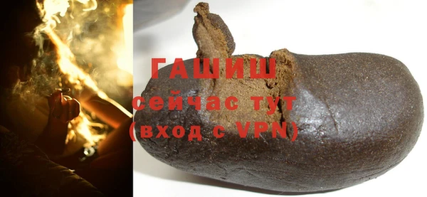хмурый Белокуриха