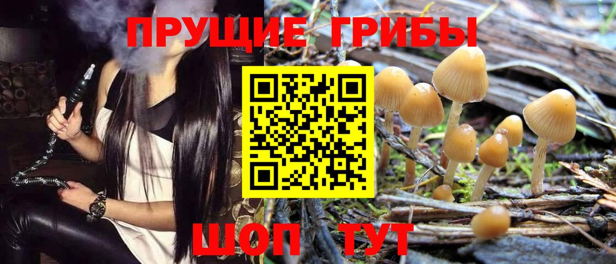 Каспийск  Галлюциногенные грибы Cubensis  Вход с VPN 