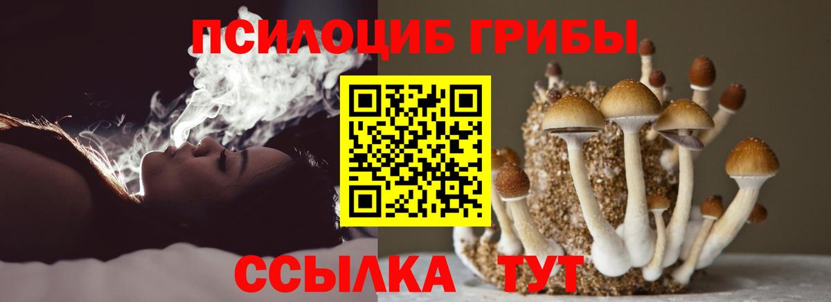 Псилоцибиновые грибы прущие грибы Каспийск